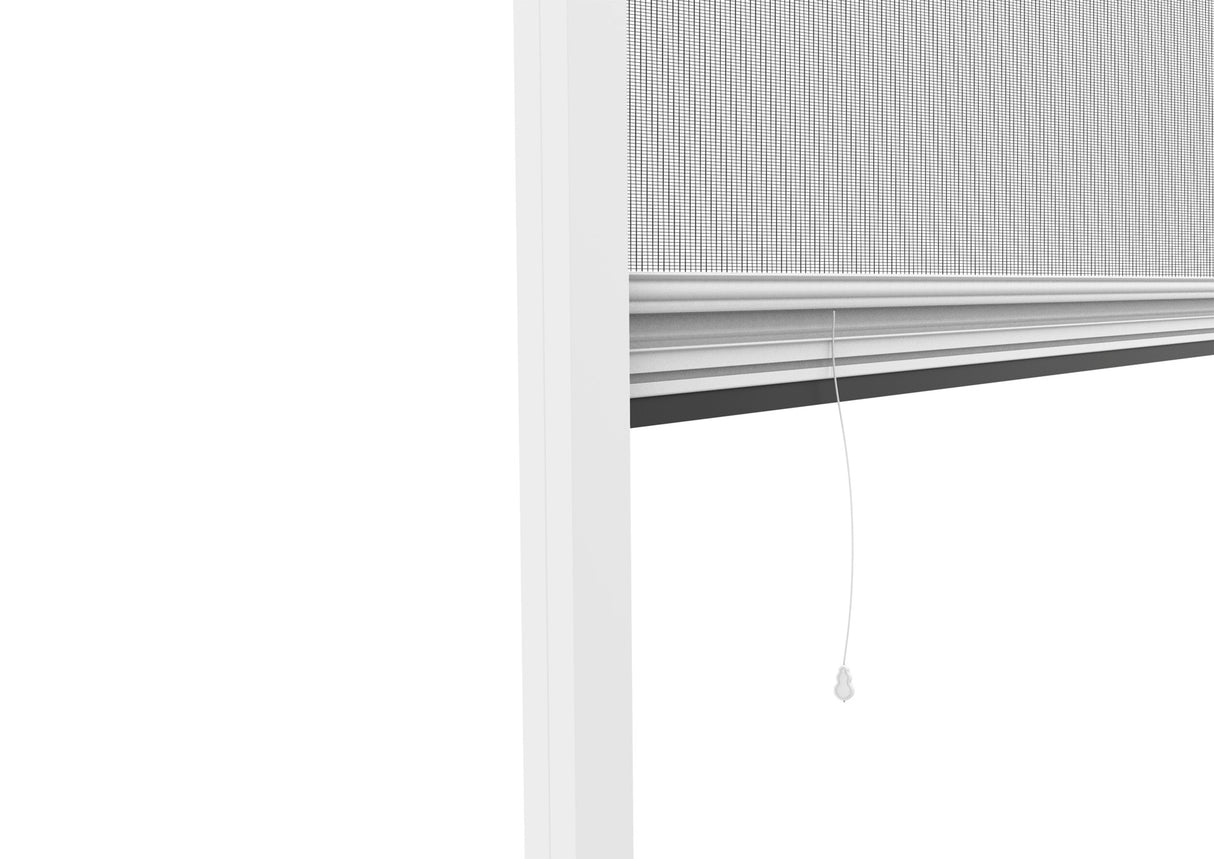 Fliegengitter Rollo Fenster "RHINO" (Aktion)