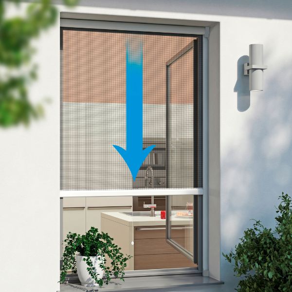 Fensterrollo