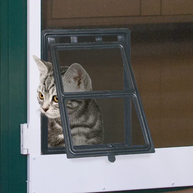 Z3 Katzenklappe