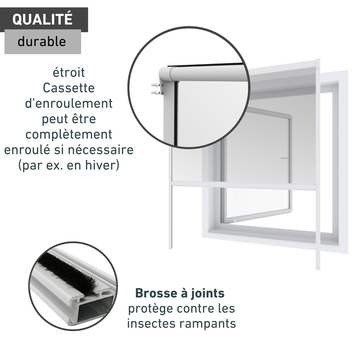 Insektenschutz Rollofenster